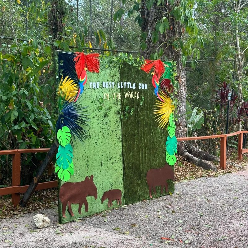 how to choose a tour in Belize