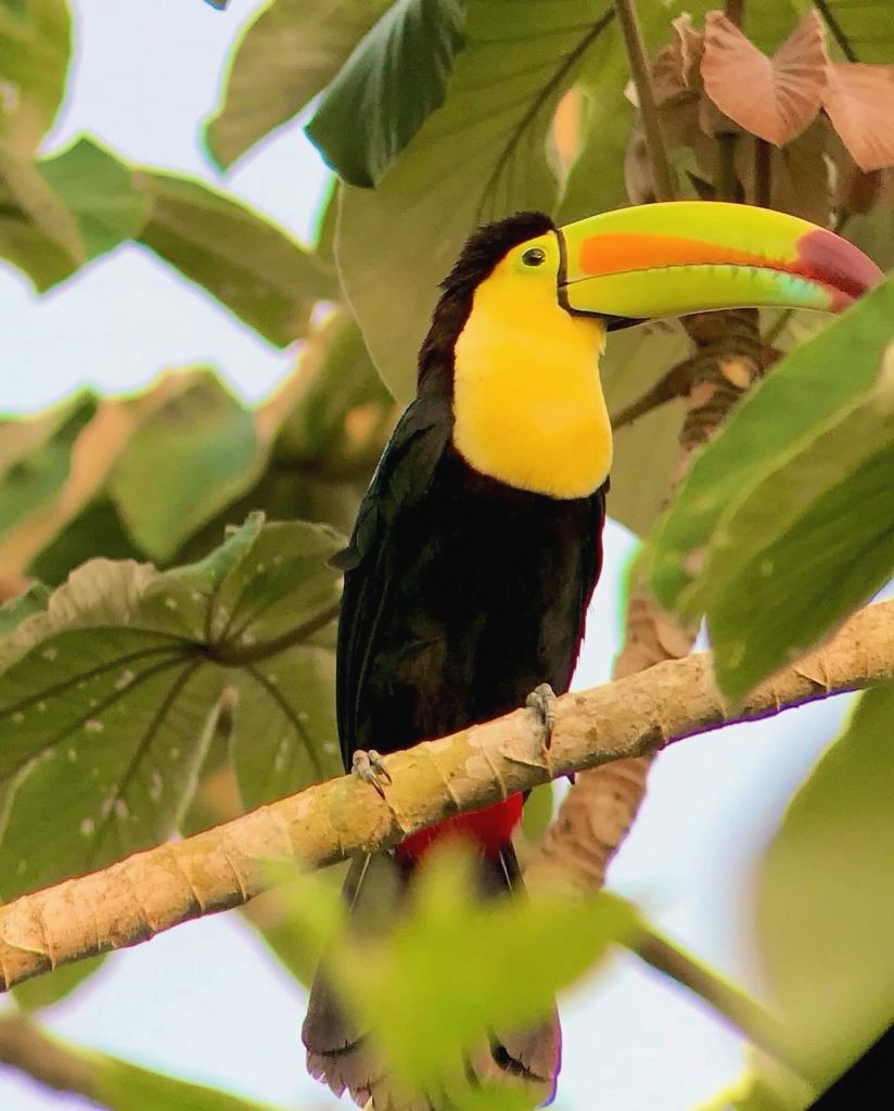 Belize travel season