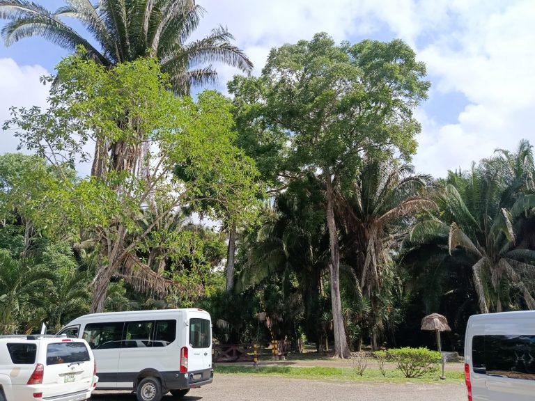 private shuttles in Belize