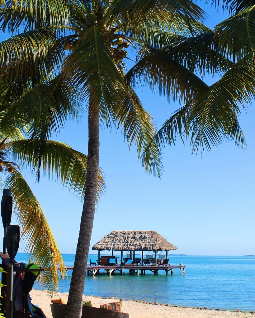 Belize snorkeling guide