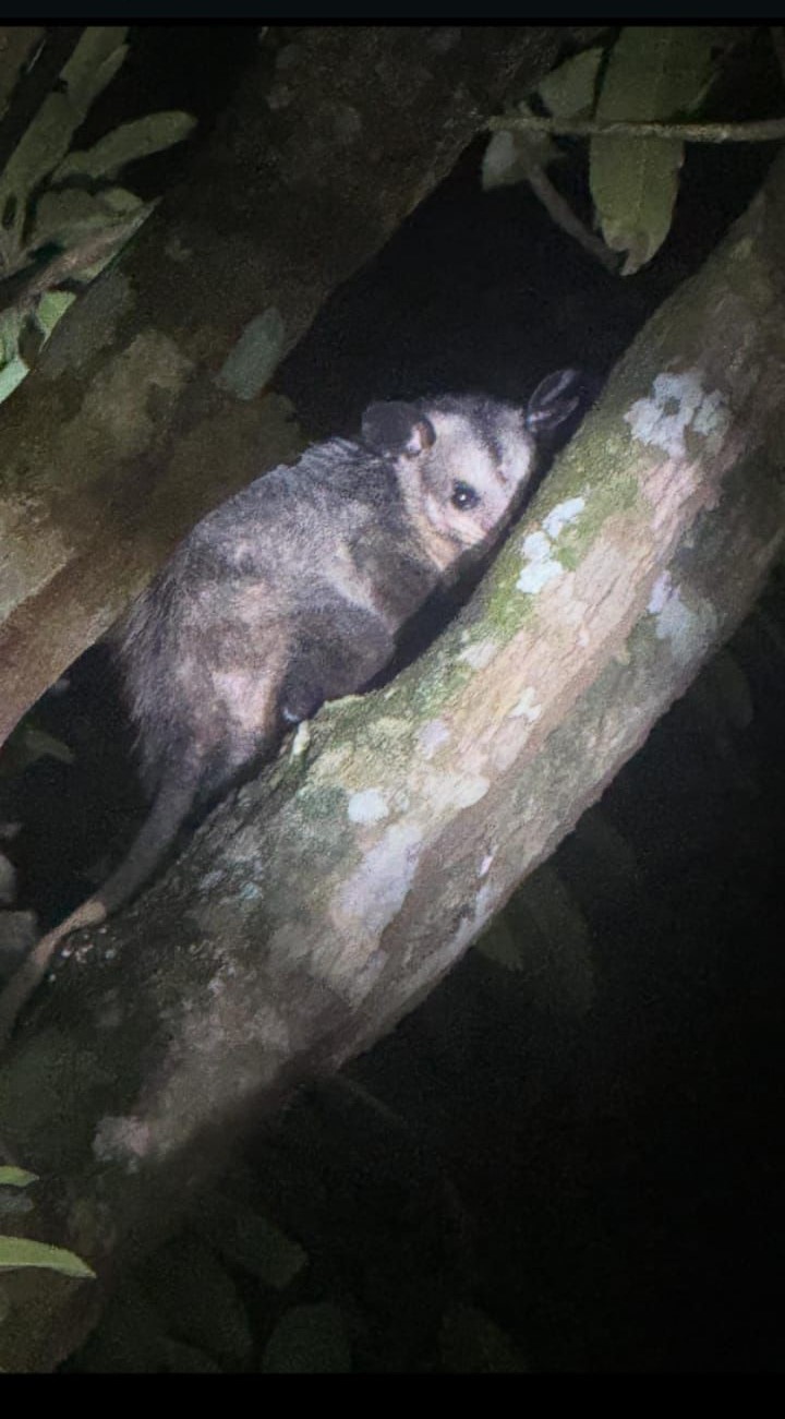 WhatsApp Image 2026-03-04 at 21.35.38 (1)