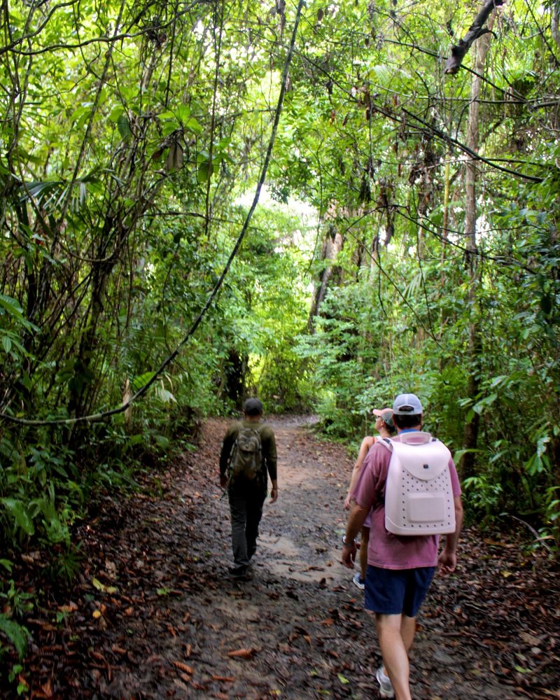 Belize Hub Tours eco