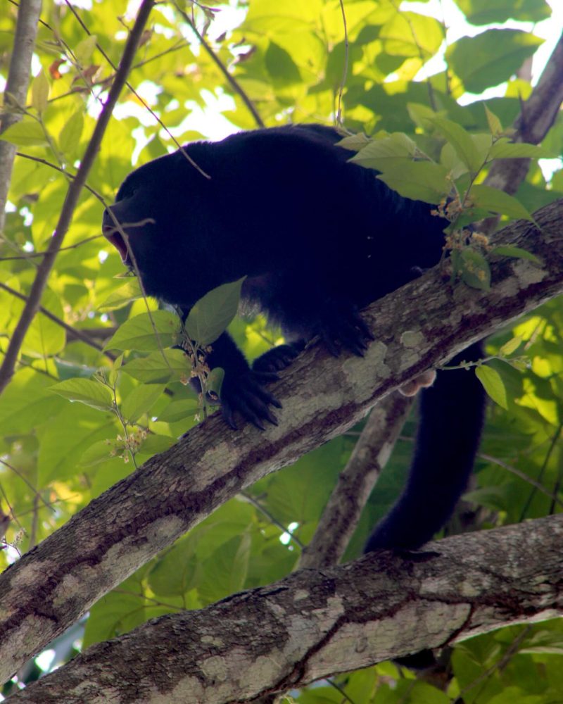 Belize tours for kids and teens