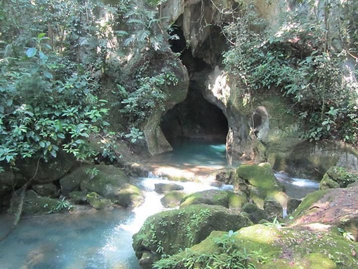 Tapir Mountain Nature Reserve