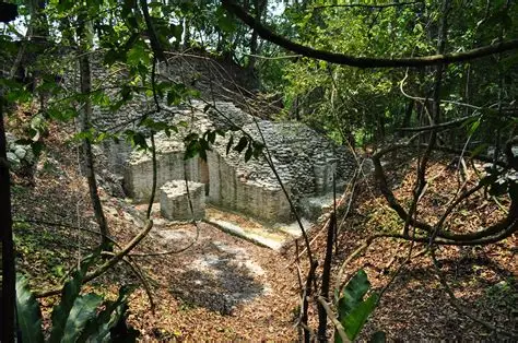 El Pilar ruins